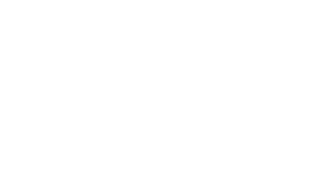 Felicius | obecně prospěšná společnost